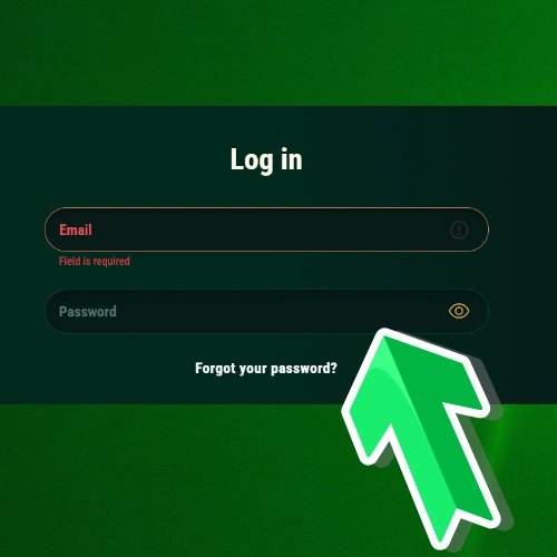 Enter the email and password