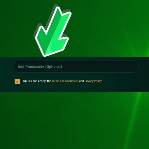 promo code and Terms & Conditions