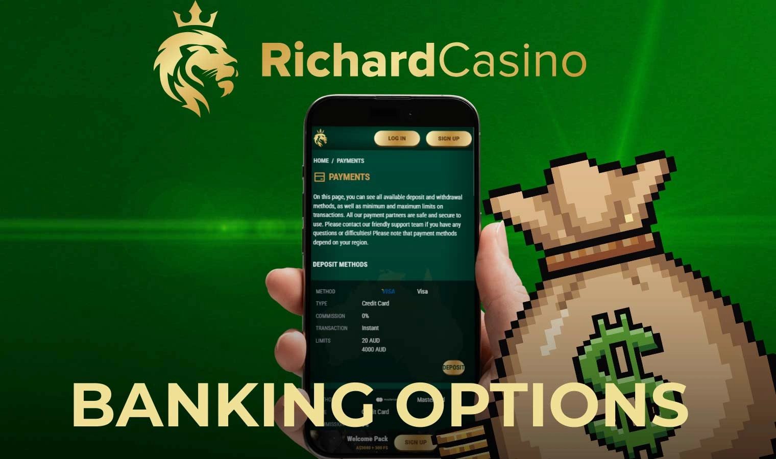 All payment details at Richard Casino