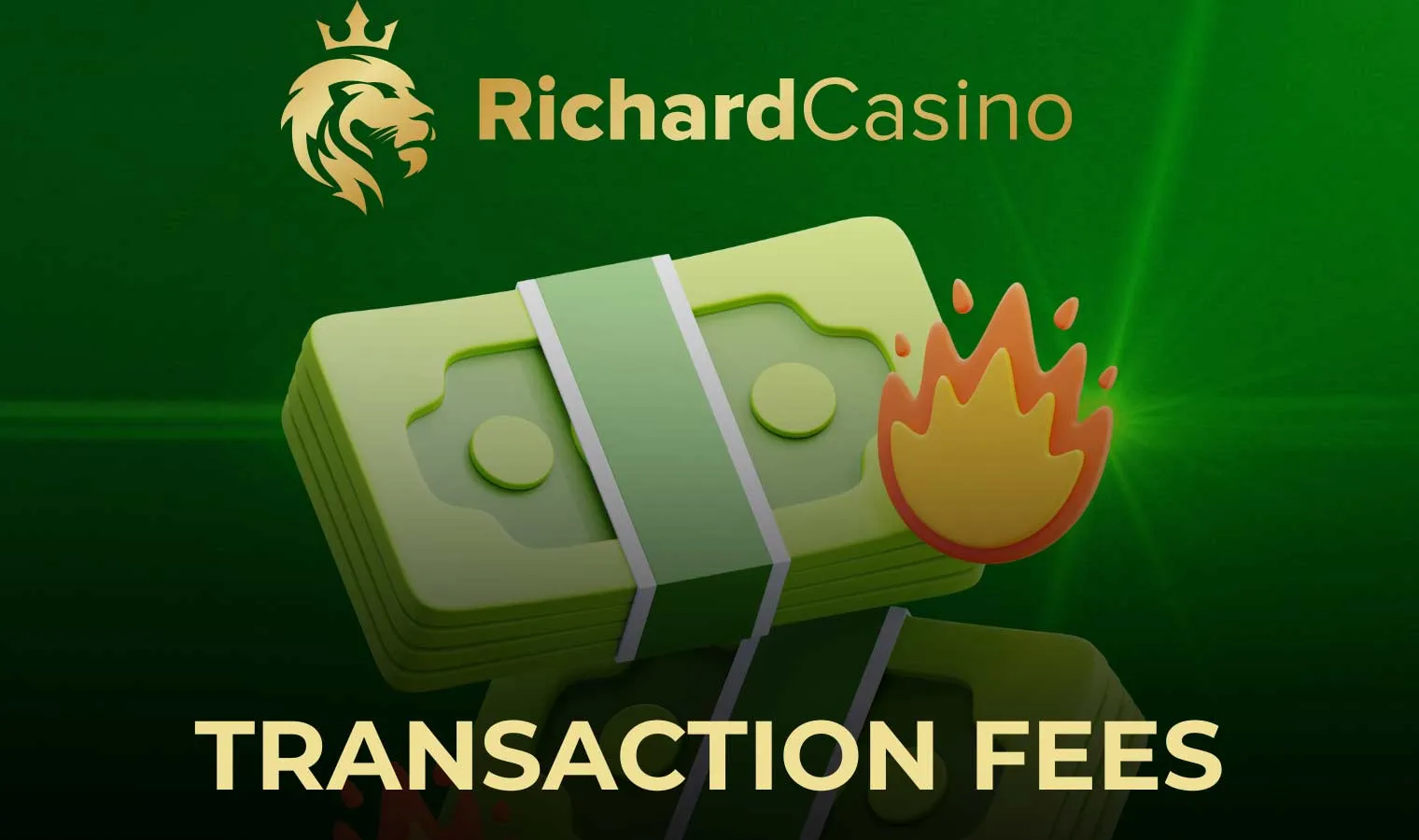 Transaction Fees in Richard Casino